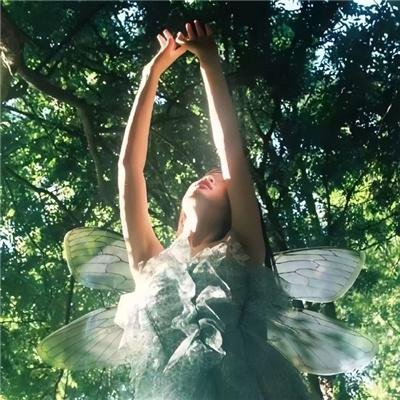 乘着光影旅行——李屏宾的摄影人生